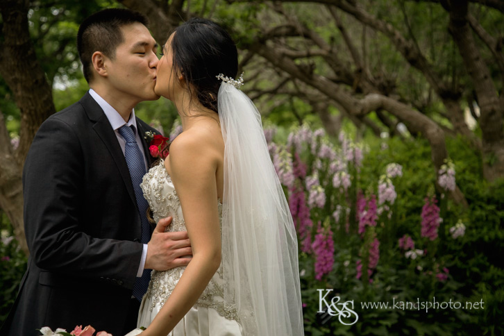 dallas chinese wedding photographer